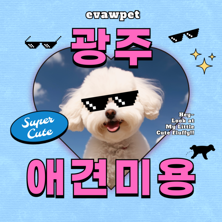   광주남구애견미용 , 지금이야말로 기회!