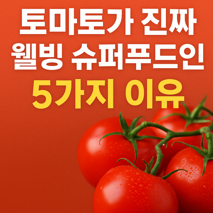  토마토가 슈퍼푸드인 이유와 웰빙 효과