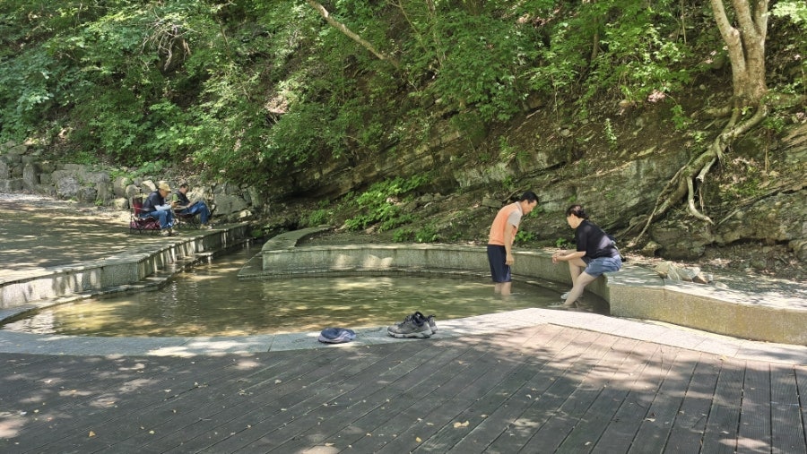 산꼬라데이길 솔숲길 사진 6