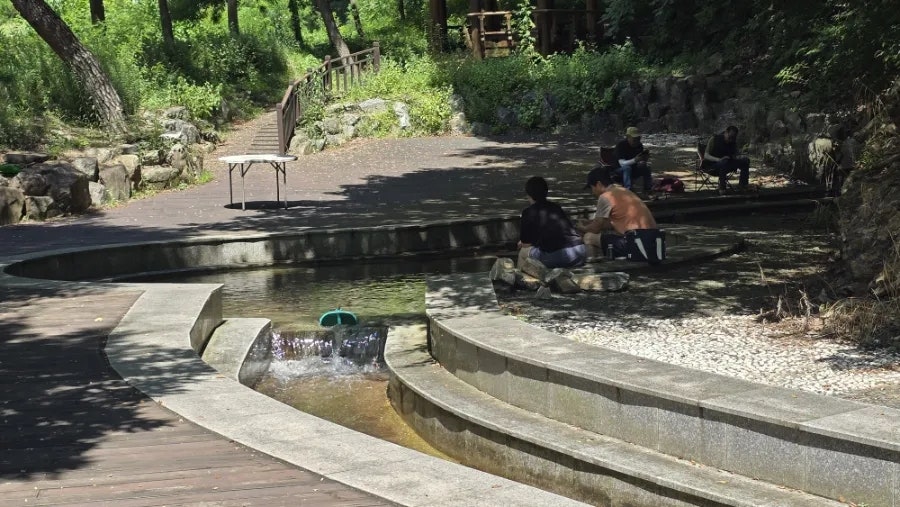 산꼬라데이길 솔숲길 사진 5