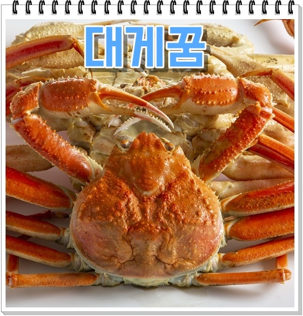 대게꿈 해몽 대게알꿈 대게선물꿈 태몽 길몽