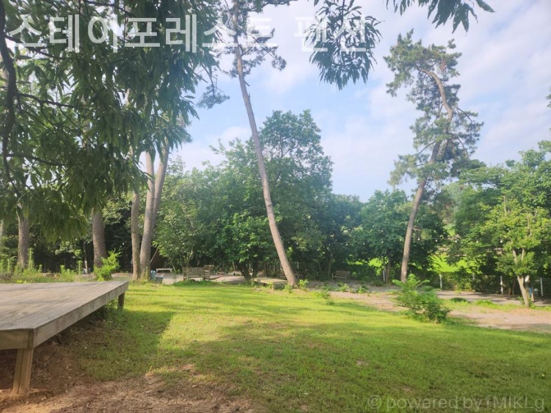 사진 4