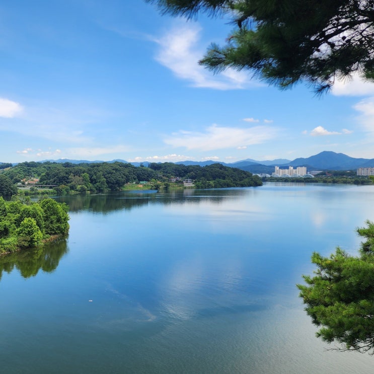  충주 탄금대 공원 풍경 충북 여행지 충주 산책하기 좋은 길 가볼만한 곳