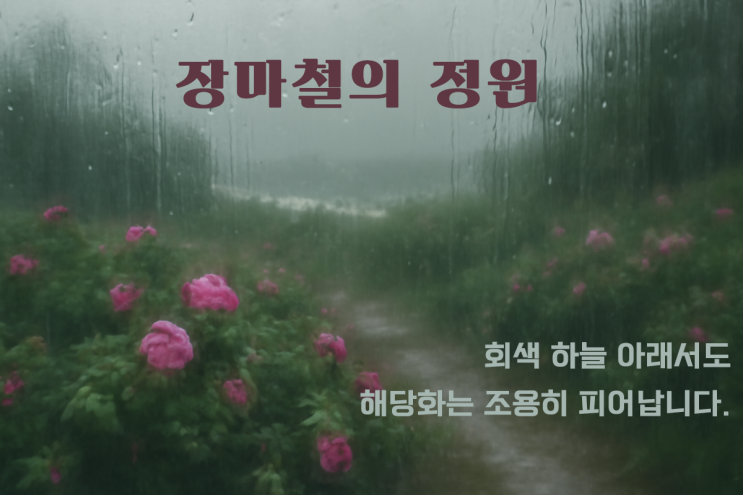  해당화로 보는 삶의 정원 9편 - 장마철의 정원