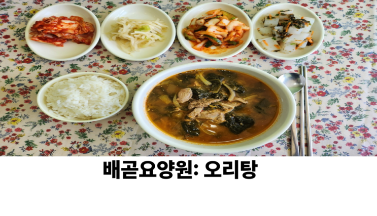  [오리탕]