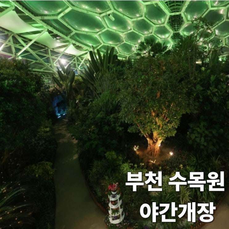  부천자연생태공원 야간개장 (식물원 & 무릉도원수목원) 주차할인