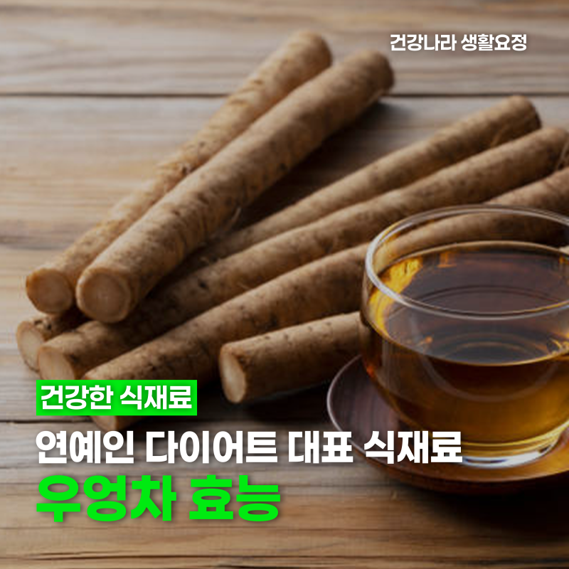 우엉차 효능 · 연예인 다이어트 대표 식재료 우엉물