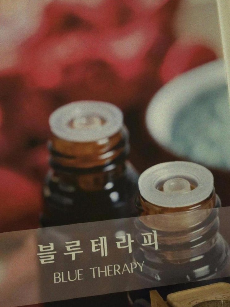  함덕 블루아로마에서 피로 싹 풀고 왔어요