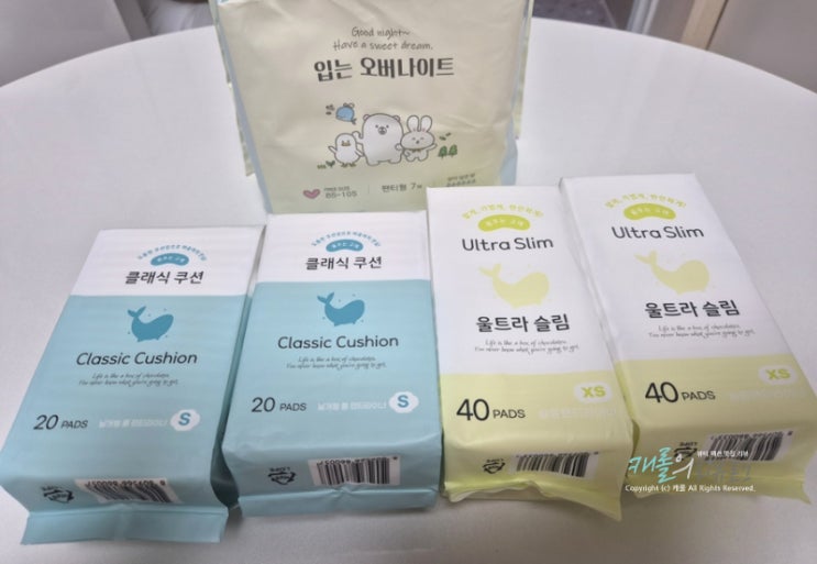 춤추는고래 날개형팬티라이너 입는오버나이트, 여름생리대로 추천