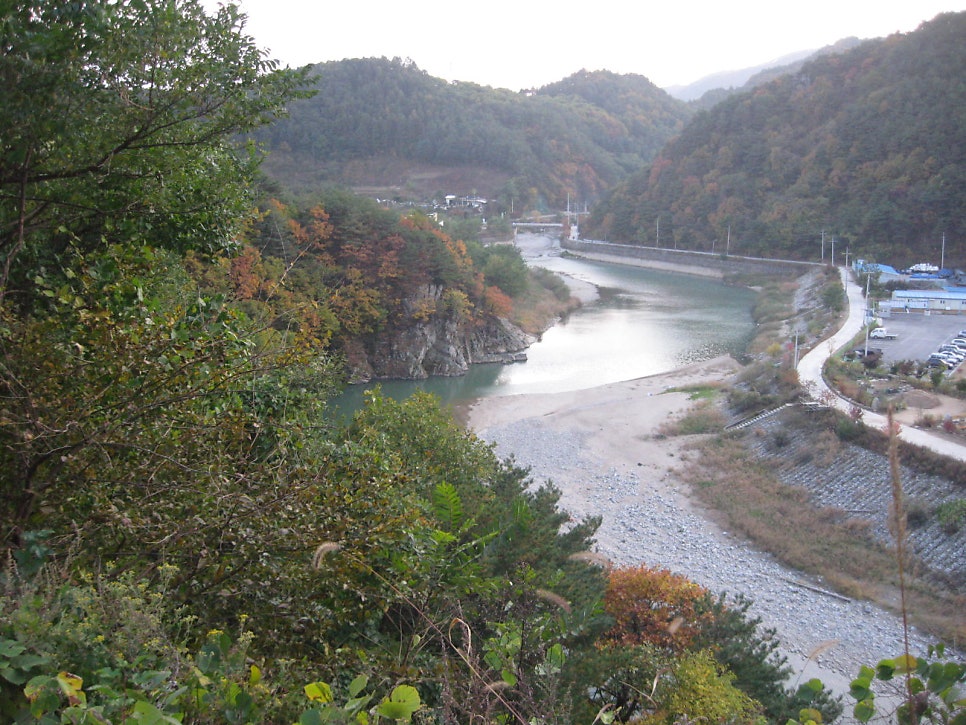 연엽골 사진 4