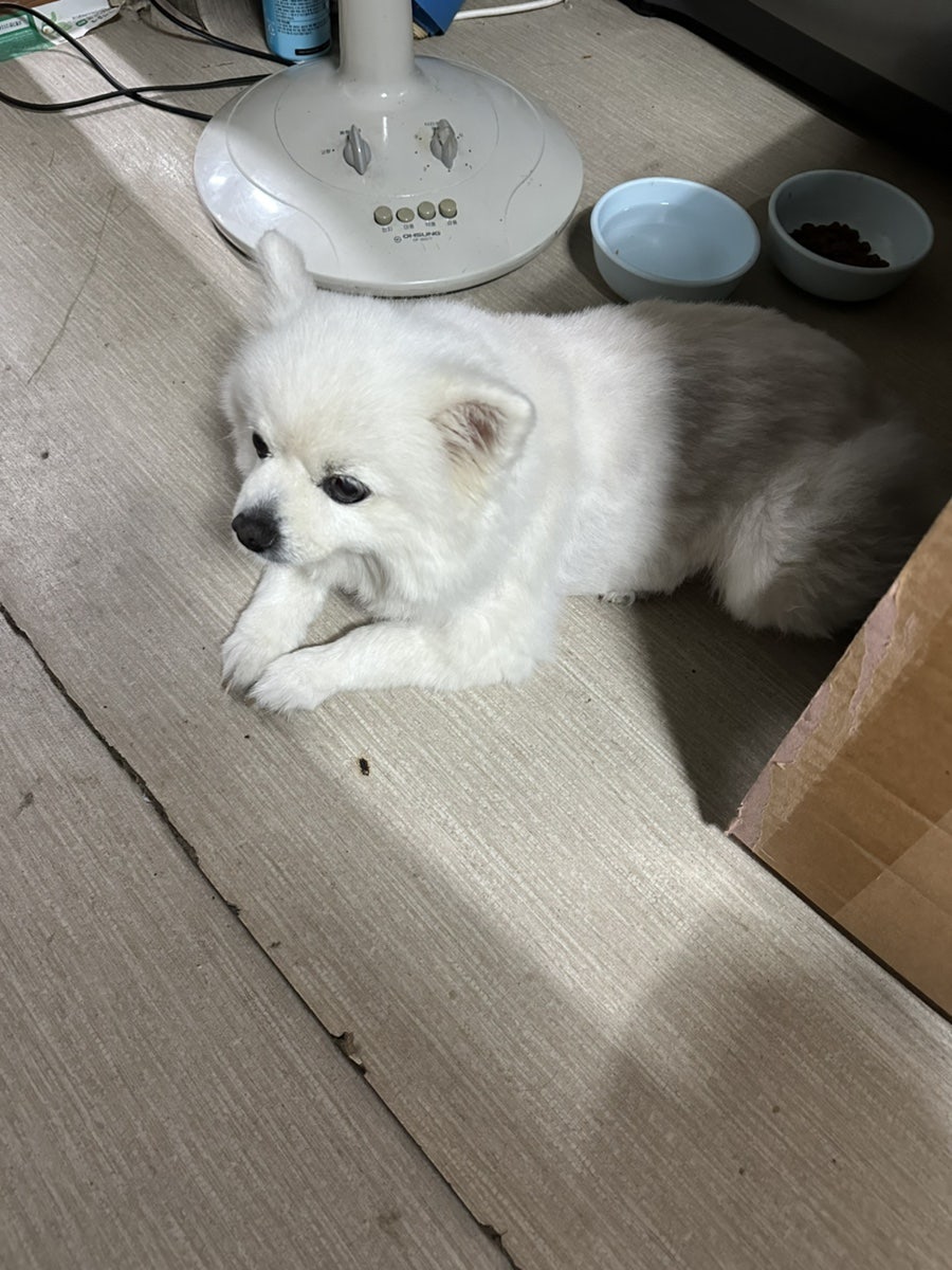 중촌수구리 사진 2