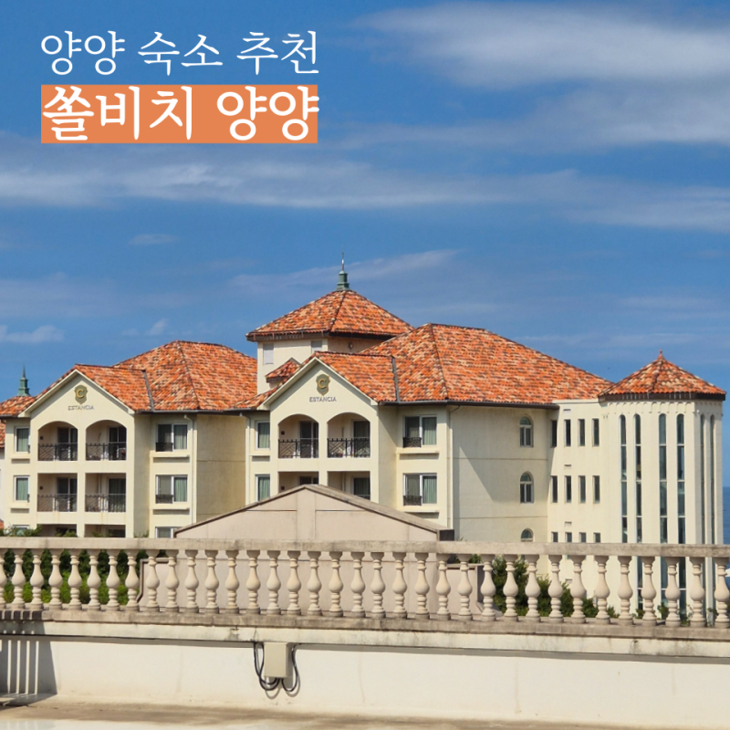 사진 6