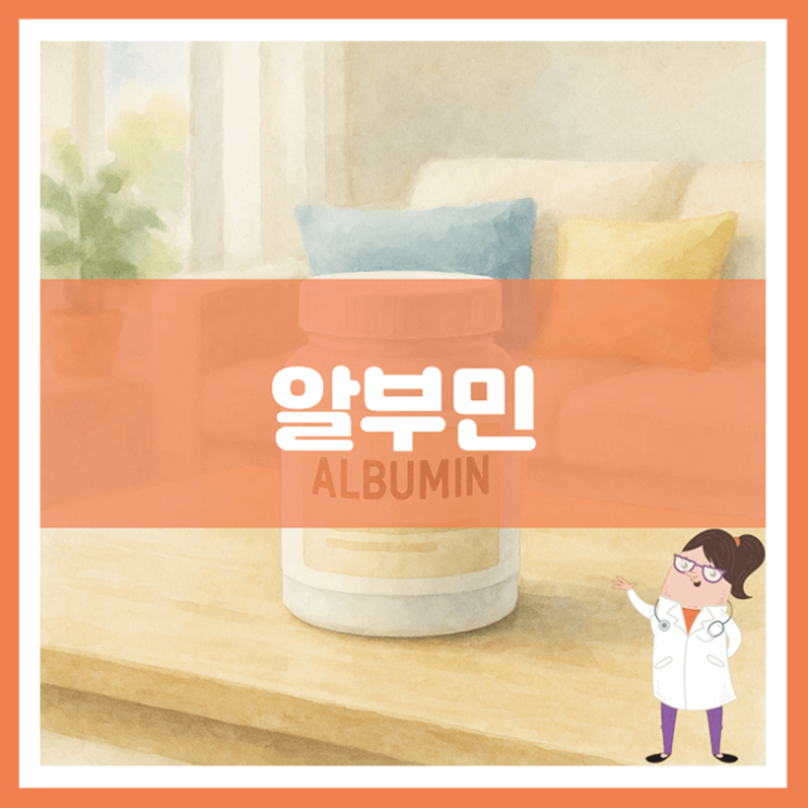  알부민 5가지 효능 수치 부작용