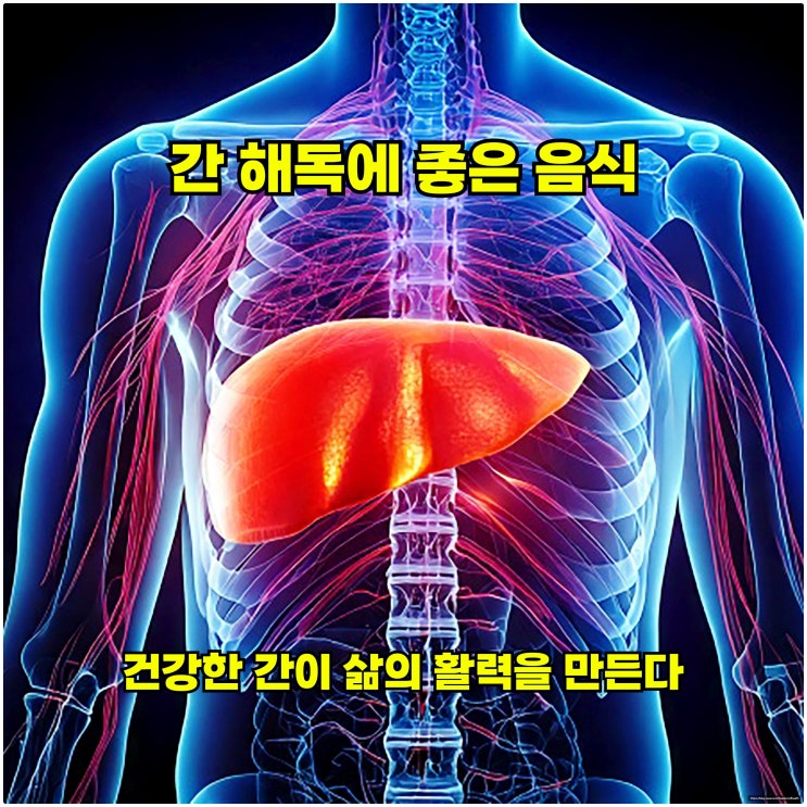  간 해독에 좋은 음식, 건강한 간이 삶의 활력을 만든다