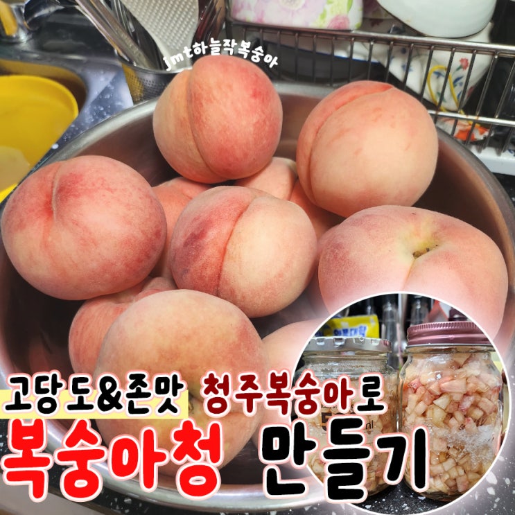  고당도복숭아로 복숭아청 만들기 충주 딱딱이 하늘작복숭아