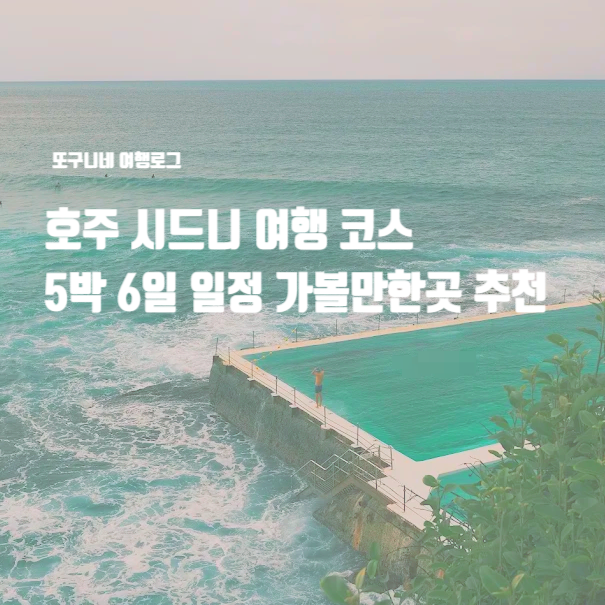  호주 시드니 여행 코스 5박 6일 일정 자유여행 추천 + 투어 할인 쿠폰