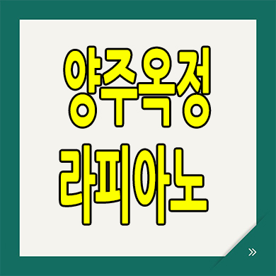  양주신도시 라피아노 스위첸 타운하우스 옥정동 kcc즉시입주 단독주택 할인분양
