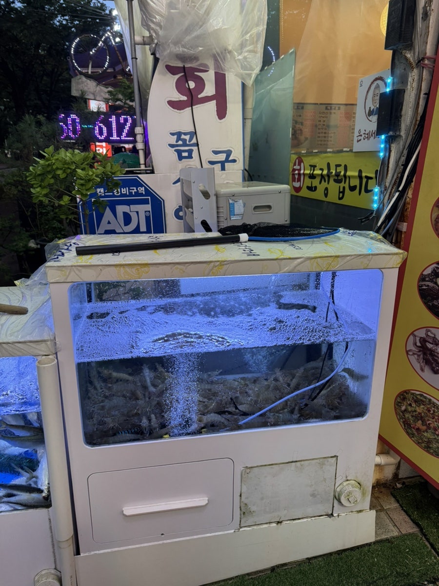 은혜세꼬시 사진 5