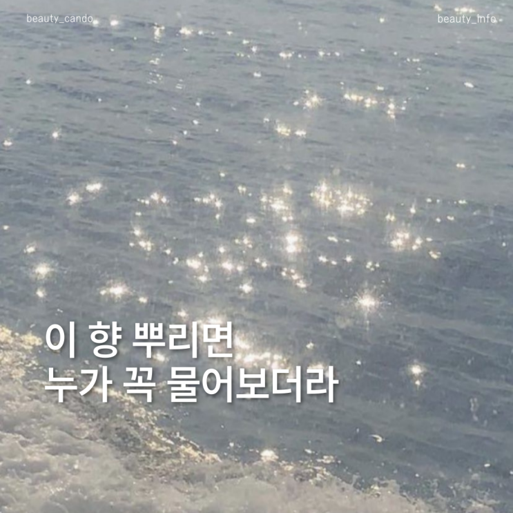  한 번 뿌리면 빠져버리는 화이트 머스크 향수 추천
