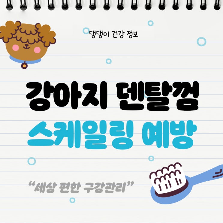  스케일링 예방 방법? 강아지 덴탈껌, 양치껌 습관으로 건강한 치석제거 관리