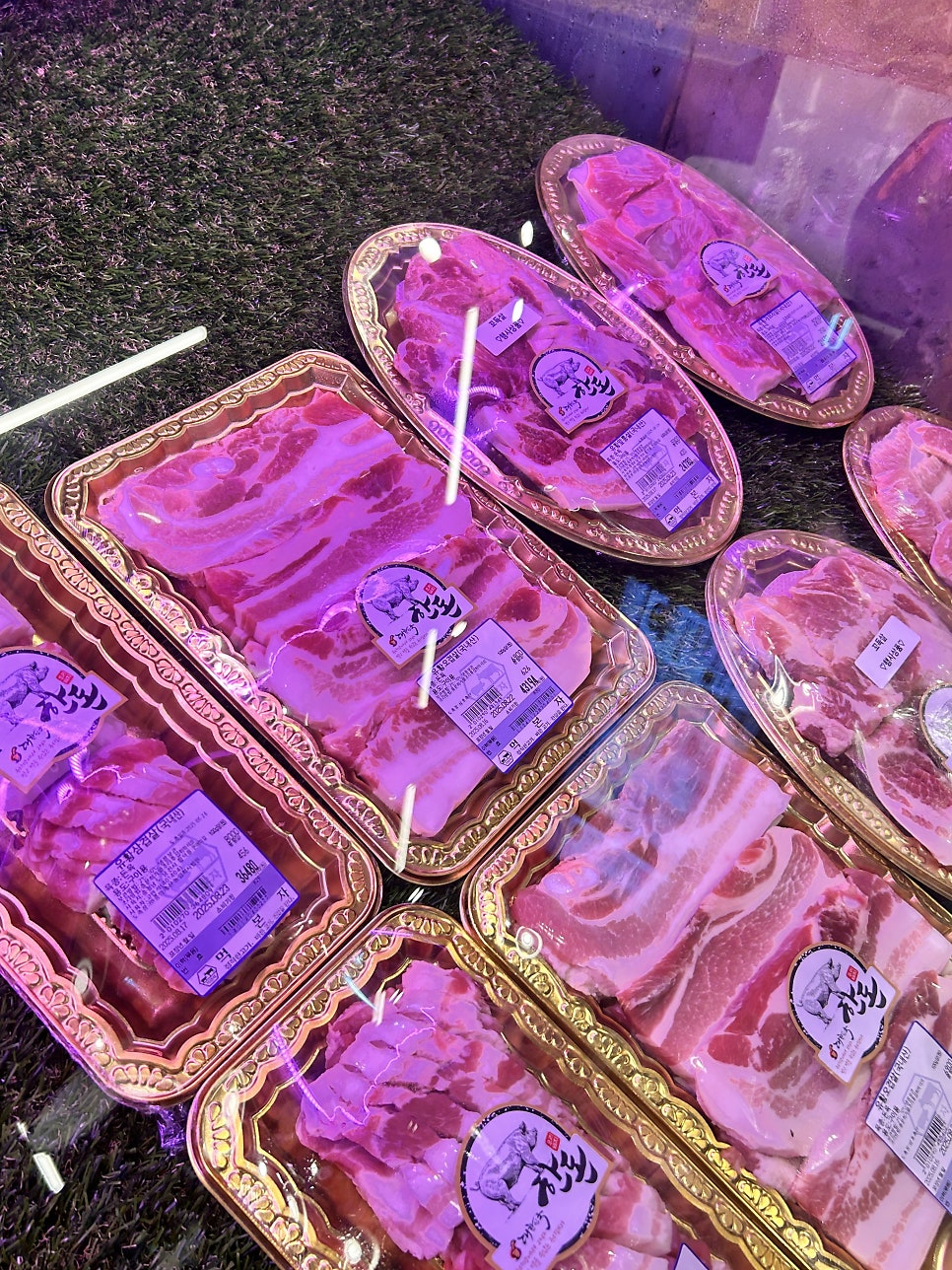 먹본자 사진 3