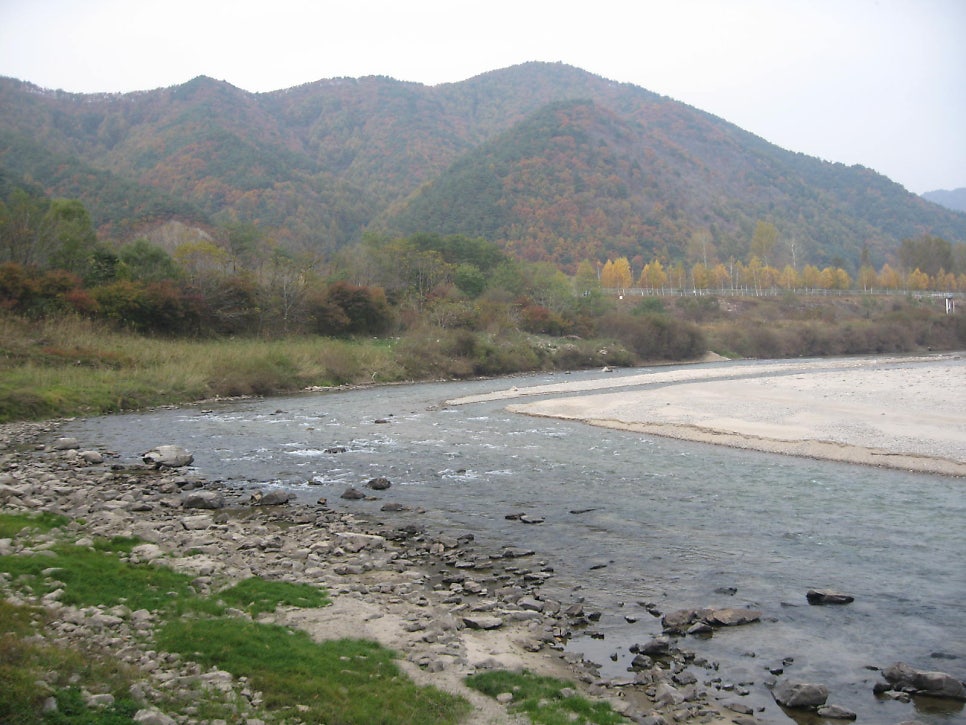 연엽골 사진 6