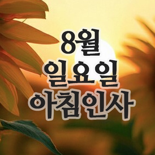  8월 인사말 이미지, 24일 일요일 주말 아침인사 문자