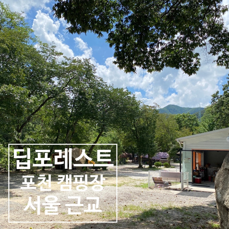 사진 2