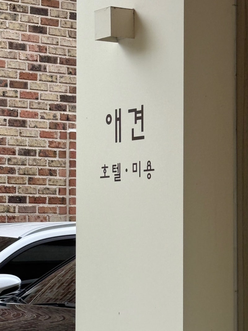 사진 3