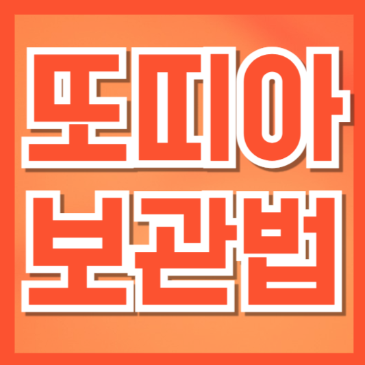  또띠아 오래 보관하는 냉동 보관법 (+ 코스트코·트레이더스 제품 꿀팁)