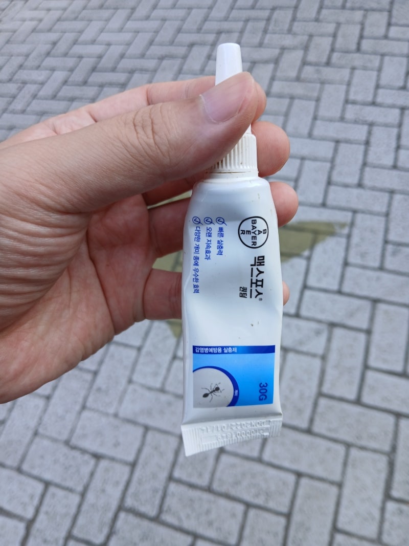 개미 퇴치 종결, 맥스 포스 퀀텀