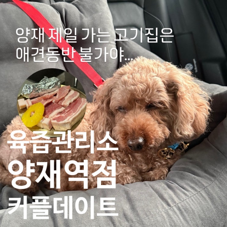  육즙관리소 양재역점 삼겹살 재방문 맛집 회식, 모임, 데이트하 좋은 곳