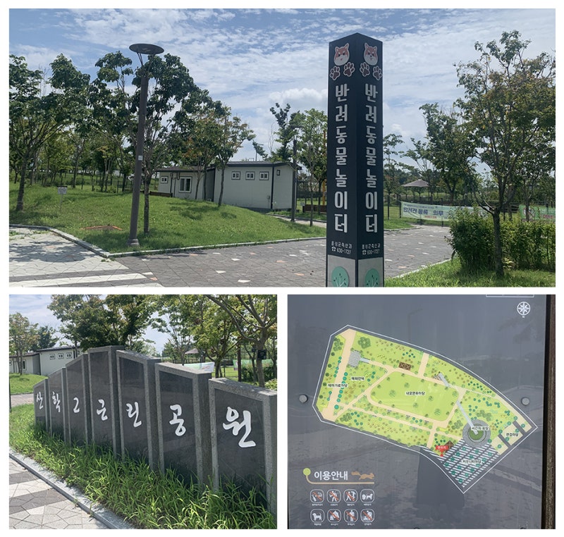 사진 4