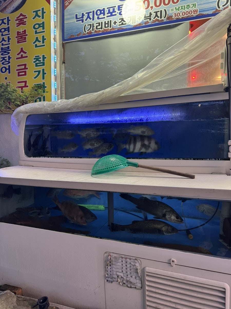 은혜세꼬시 사진 4