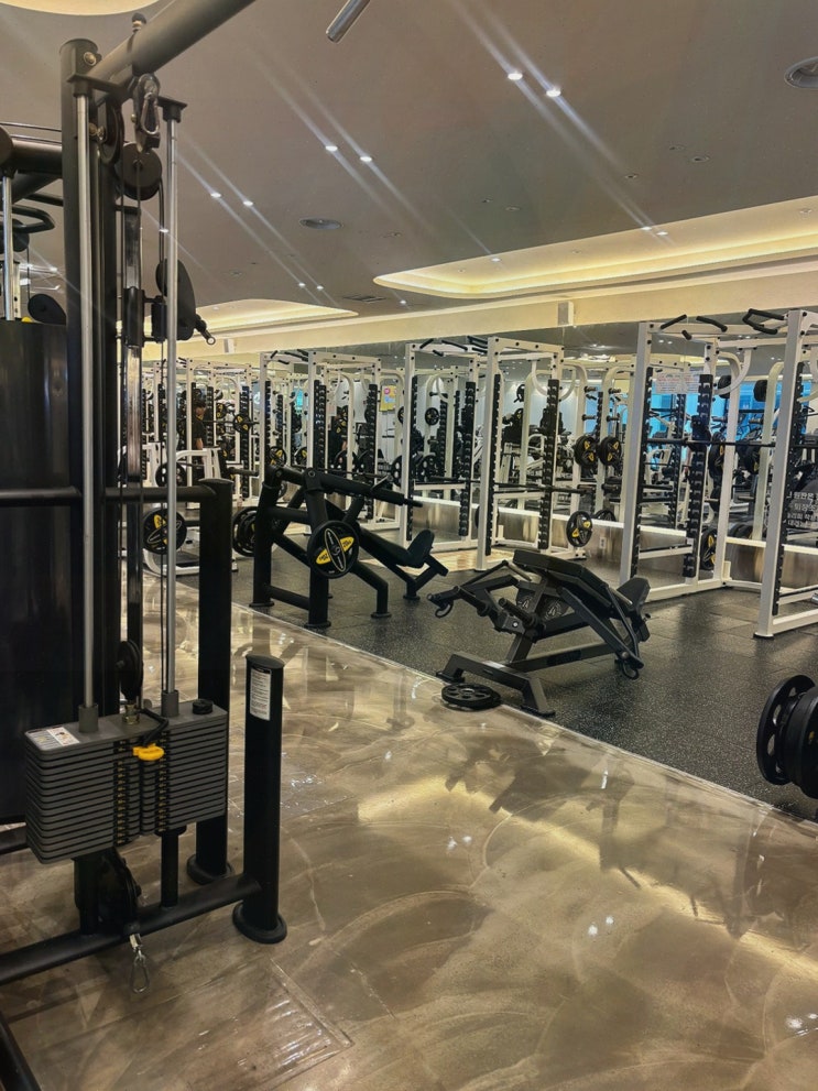  헬스보이짐 가산역점, 프리미엄 헬스장 가산헬스장으로 최고의 근력운동!