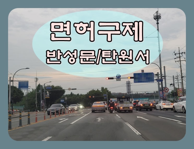  음주운전사고 면허 구제 및 반성문 탄원서 작성 대행