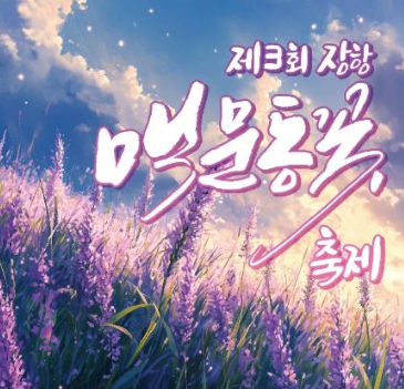  2025 장항 맥문동 축제, 소나무숲 속 보랏빛 바다! (기간, 주차, 꿀팁)