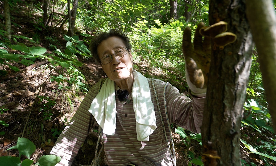 산골집 사진 5
