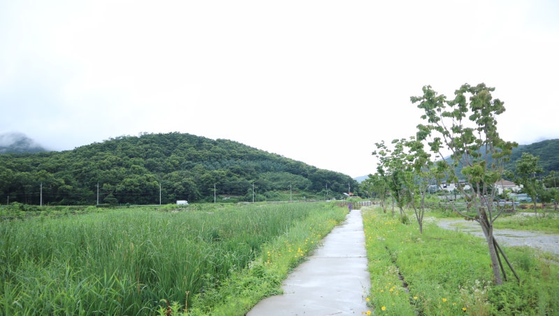 사진 8