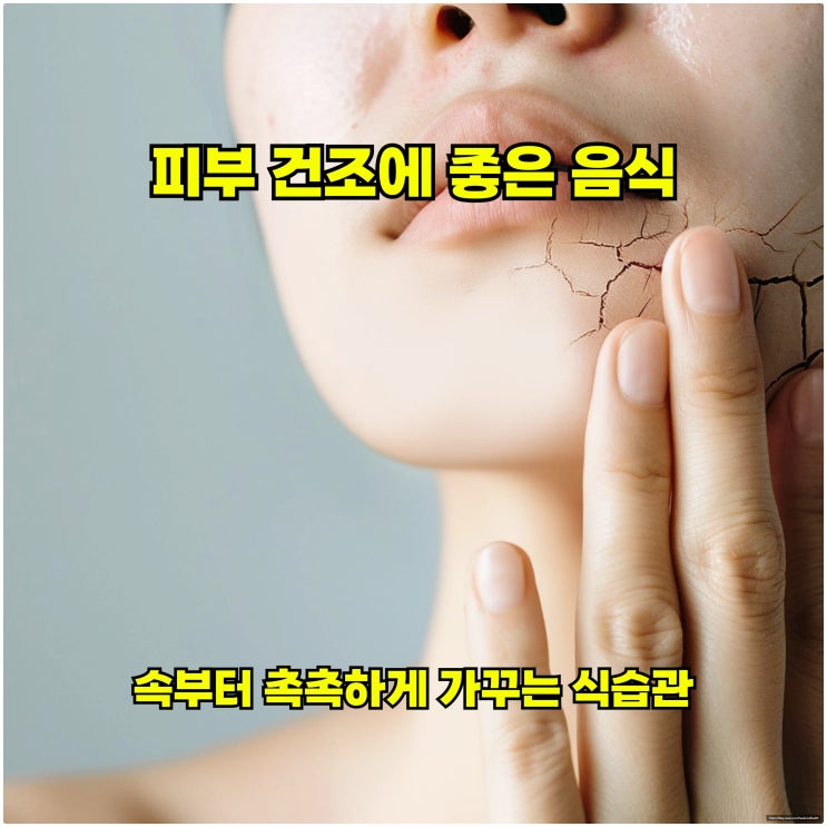  피부 건조에 좋은 음식, 속부터 촉촉하게 가꾸는 식습관