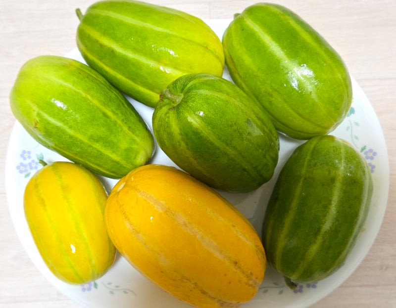 풋 참외 장아찌 담그기