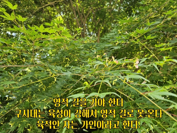  jms 정명석목사 잠언 ㅡ 영적 길을 가야