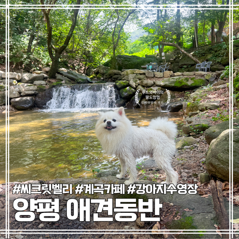 사진 3