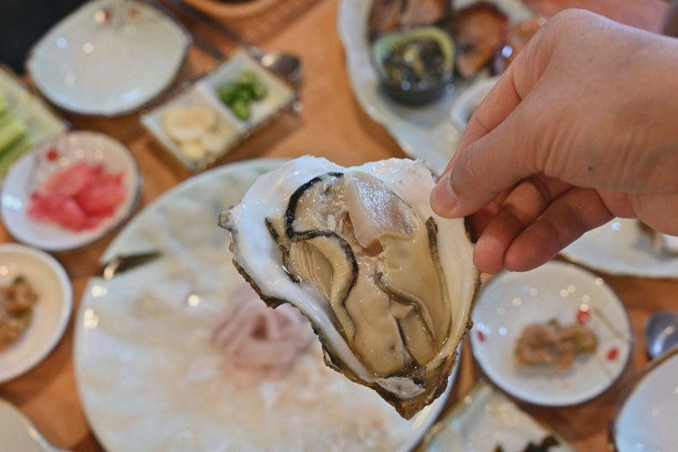  거제와현맛집 유경식당, 신선한 회와 멋진 해변가의 조화