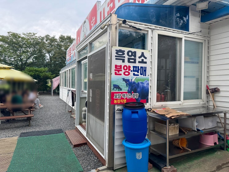  [보령] 대천해수욕장 근처 로컬 해장맛집, 네이버에도 안 나오는 진짜 집