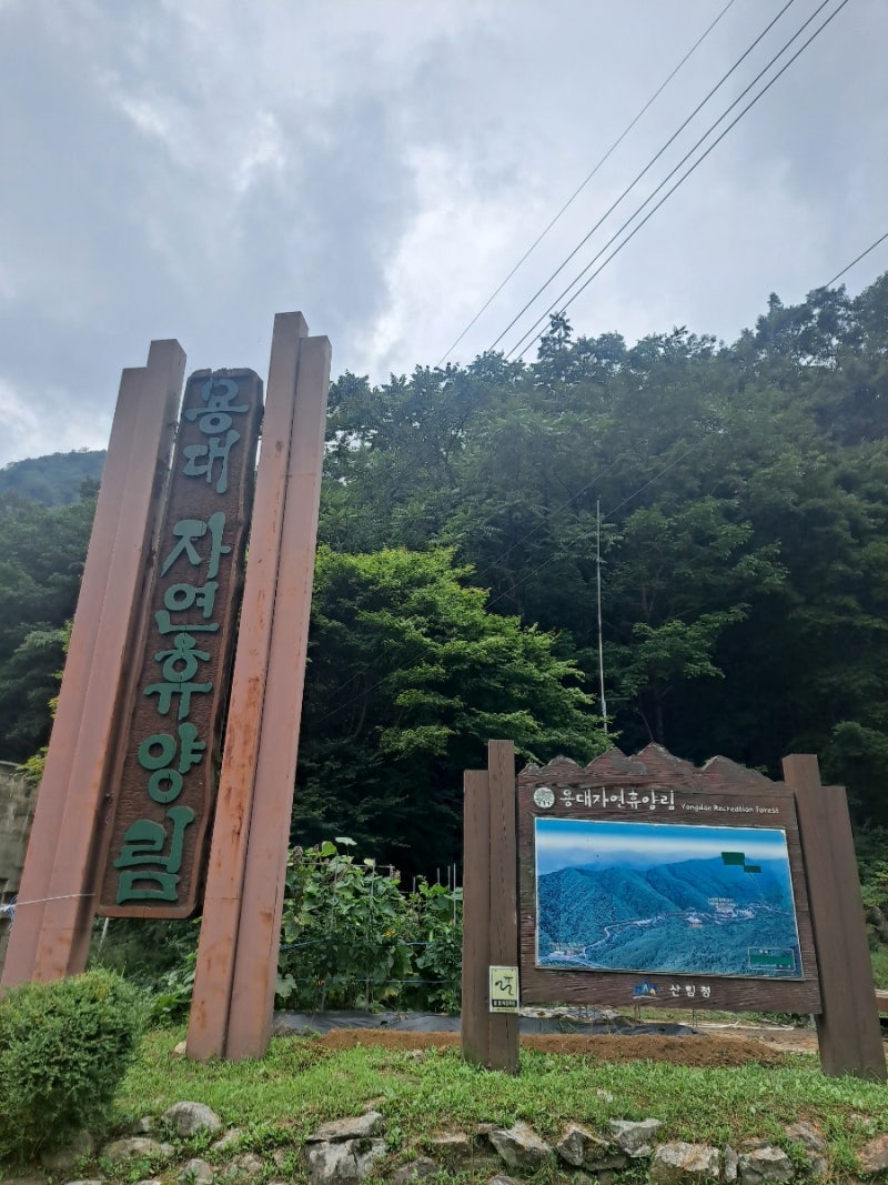 용대자연휴양림 백당나무방