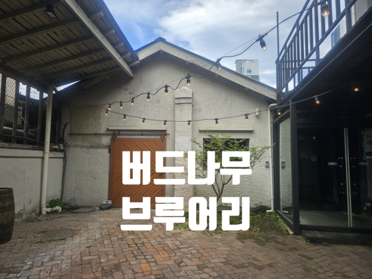  [강릉 맛집] 버드나무 브루어리