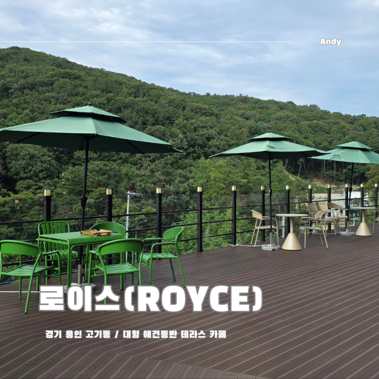  용인 고기동 뷰맛집 신상 애견동반 대형 테라스 카페 로이사 (고기리)
