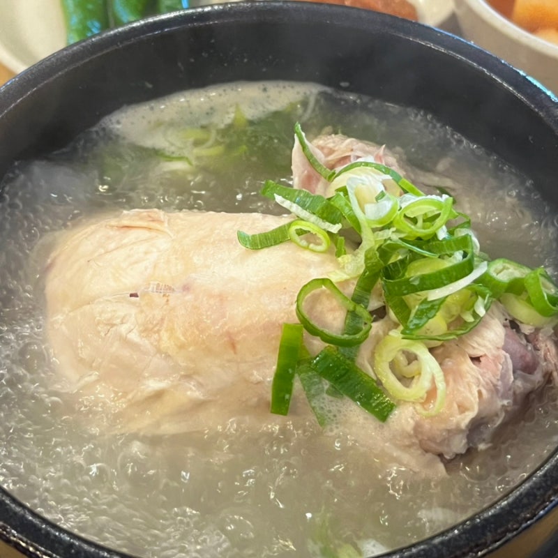 대구 들안길 금산 삼계탕 본점 방문 후기