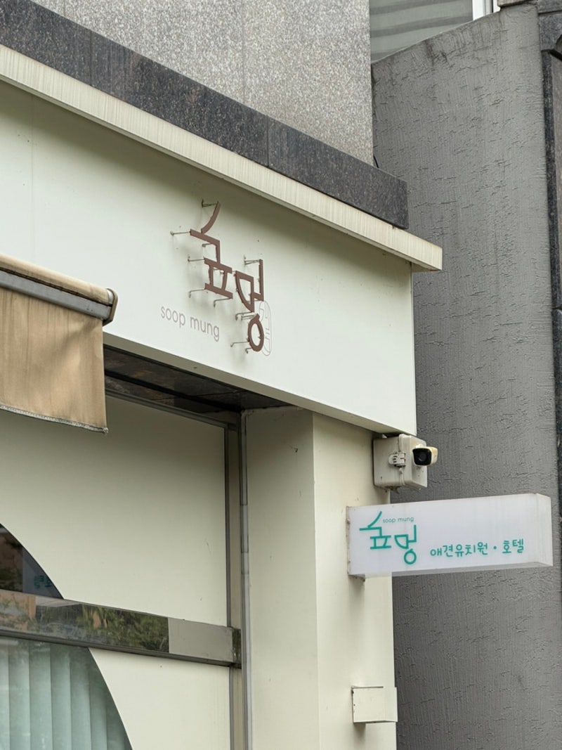 사진 2